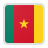 Bandera Camerún